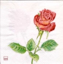 Serviette Rose, Rarität